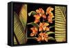 Orange Orchids & Palm Leaves-Rodolfo Jimenez-Framed Stretched Canvas