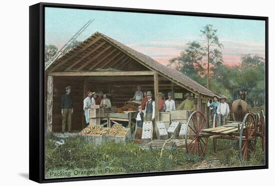 Orange Packing Hut, Florida-null-Framed Stretched Canvas