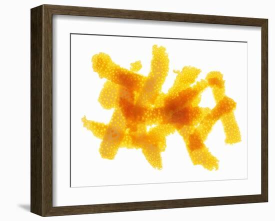 Orange Peel-Petr Gross-Framed Photographic Print