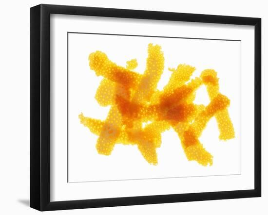 Orange Peel-Petr Gross-Framed Photographic Print