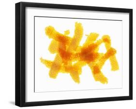 Orange Peel-Petr Gross-Framed Photographic Print