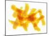 Orange Peel-Petr Gross-Mounted Photographic Print