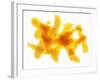 Orange Peel-Petr Gross-Framed Photographic Print