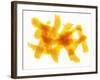 Orange Peel-Petr Gross-Framed Photographic Print