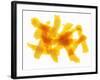 Orange Peel-Petr Gross-Framed Photographic Print