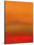 Orange Peel-Ruth Palmer-Stretched Canvas