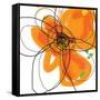 Orange Petals 2-Jan Weiss-Framed Stretched Canvas