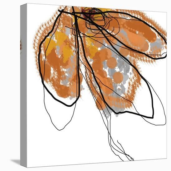 Orange Petals-Jan Weiss-Stretched Canvas