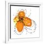 Orange Petals-Jan Weiss-Framed Art Print