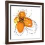 Orange Petals-Jan Weiss-Framed Art Print