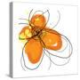 Orange Petals-Jan Weiss-Stretched Canvas