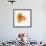 Orange Petals-Jan Weiss-Framed Giclee Print displayed on a wall