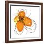 Orange Petals-Jan Weiss-Framed Giclee Print