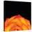 Orange Petals-Donnie Quillen-Stretched Canvas