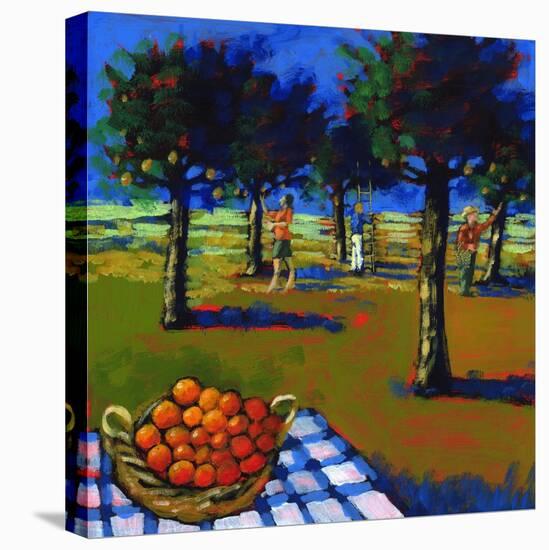 Orange Picking, 2008-Paul Powis-Stretched Canvas