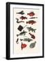 Orange Plain Fish, 2016-Eliza Southwood-Framed Giclee Print