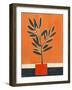 Orange Plant-Mowzu-Framed Photographic Print