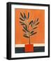 Orange Plant-Mowzu-Framed Photographic Print