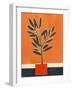 Orange Plant-Mowzu-Framed Photographic Print