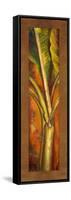 Orange Plantain-Patricia Pinto-Framed Stretched Canvas