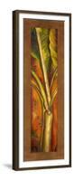 Orange Plantain-Patricia Pinto-Framed Premium Giclee Print