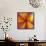 Orange Plumeria at Molokai Plumerias, Molokai, Hawaii, USA-Bruce Behnke-Framed Stretched Canvas displayed on a wall