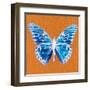 Orange Pop Butterfly-Christine Caldwell-Framed Art Print