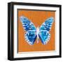 Orange Pop Butterfly-Christine Caldwell-Framed Art Print