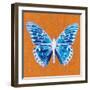 Orange Pop Butterfly-Christine Caldwell-Framed Art Print