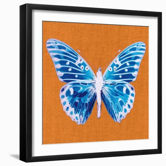 Orange Pop Butterfly-Christine Caldwell-Framed Art Print