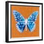 Orange Pop Butterfly-Christine Caldwell-Framed Art Print