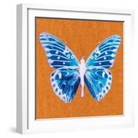 Orange Pop Butterfly-Christine Caldwell-Framed Art Print