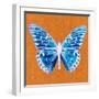 Orange Pop Butterfly-Christine Caldwell-Framed Art Print
