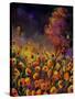 Orange Poppies 454101-Pol Ledent-Stretched Canvas