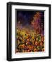 Orange Poppies 454101-Pol Ledent-Framed Art Print