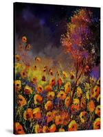 Orange Poppies 454101-Pol Ledent-Stretched Canvas
