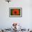 Orange Poppy-Savanah Stewart-Framed Photographic Print displayed on a wall