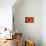 Orange Poppy-Savanah Stewart-Mounted Photographic Print displayed on a wall