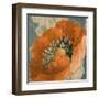 Orange Poppy-Lanie Loreth-Framed Art Print