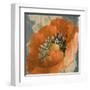 Orange Poppy-Lanie Loreth-Framed Art Print