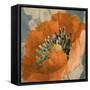 Orange Poppy-Lanie Loreth-Framed Stretched Canvas