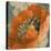 Orange Poppy-Lanie Loreth-Stretched Canvas