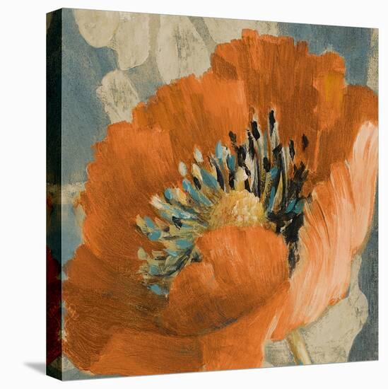 Orange Poppy-Lanie Loreth-Stretched Canvas