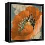 Orange Poppy-Lanie Loreth-Framed Stretched Canvas