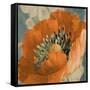 Orange Poppy-Lanie Loreth-Framed Stretched Canvas