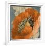 Orange Poppy-Lanie Loreth-Framed Art Print