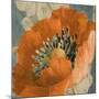 Orange Poppy-Lanie Loreth-Mounted Art Print