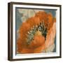 Orange Poppy-Lanie Loreth-Framed Art Print