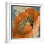 Orange Poppy-Lanie Loreth-Framed Art Print