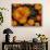 Orange Primroses Pattern, Washington, USA-Jamie & Judy Wild-Photographic Print displayed on a wall